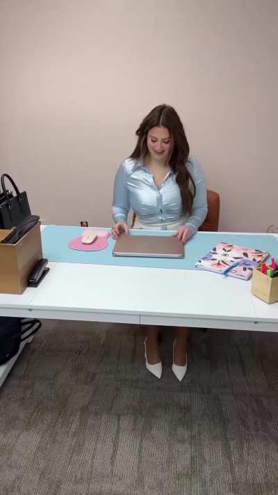 Silky Secretary