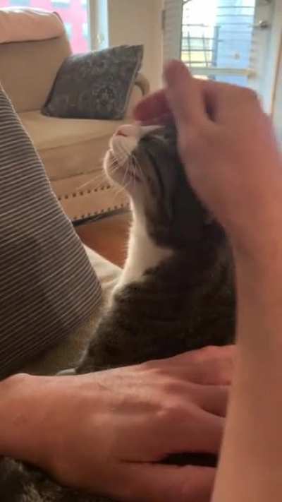 Penny has the biggest crush on my boyfriend