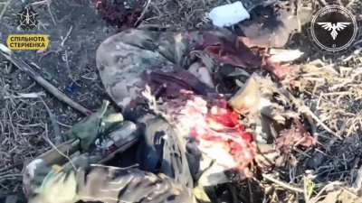 Invader blown up by FPV of the 47th