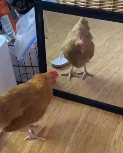 I feel bad for laughing