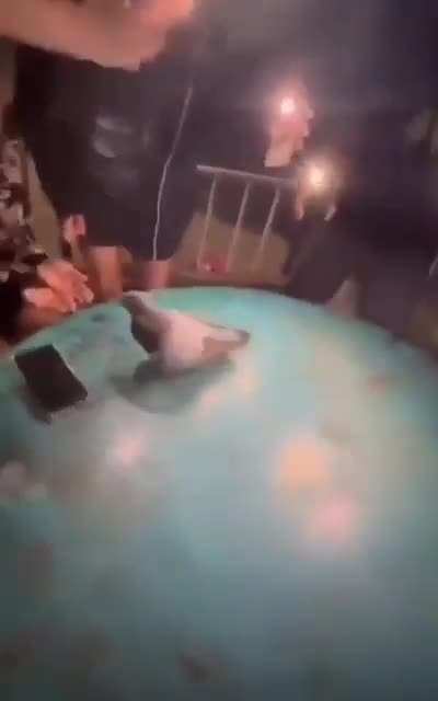 Cursed_party