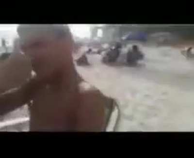 Cavalos 