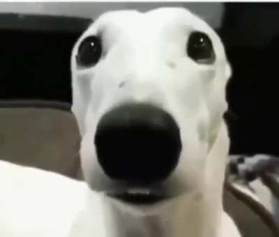 ❄