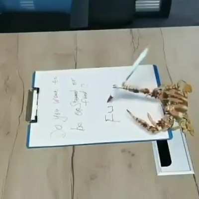 Crab calligraphy 🦀✍️