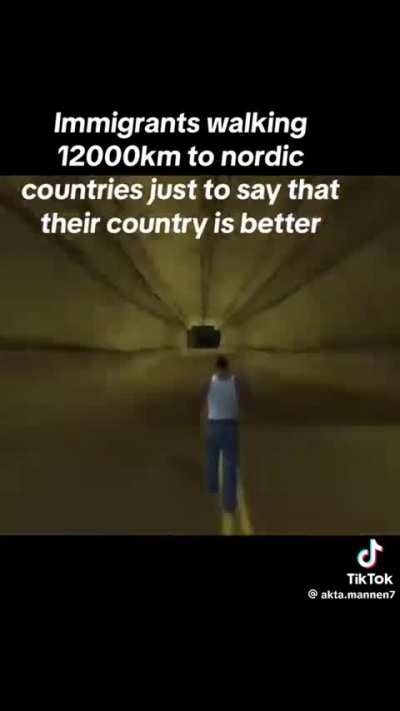 Swedistan gameplay 