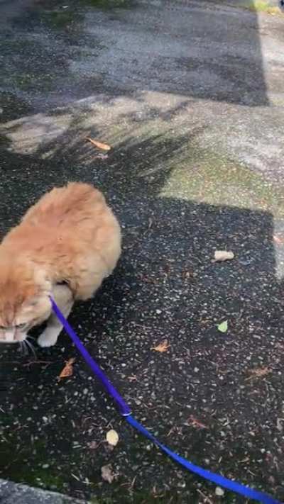 I think we&rsquo;re making progress in walking...I think