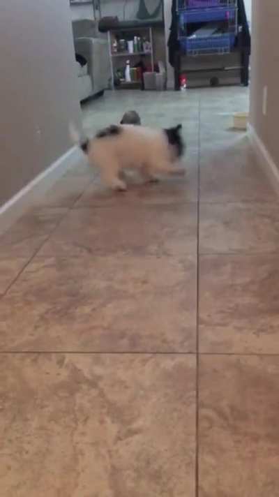 You&rsquo;ve been hit by... you&rsquo;ve been struck by... a smooth criminal