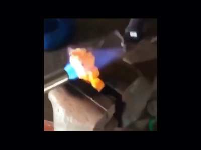 Don&rsquo;t steal this guys lasagne