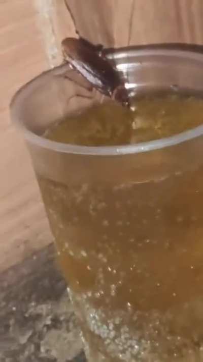 eu_nvr