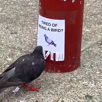Awwwwwww