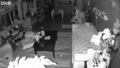 I regret taking advice and telling it to leave because now it&rsquo;s angry as heck. First part is family room. Then living room camera gets triggered, then next trigger is it being triggered downwards. And I didn&rsquo;t even do it in person because I&rsquo;m chicken. I d