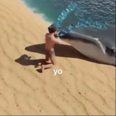 yo