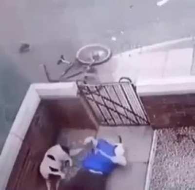 WTF!?