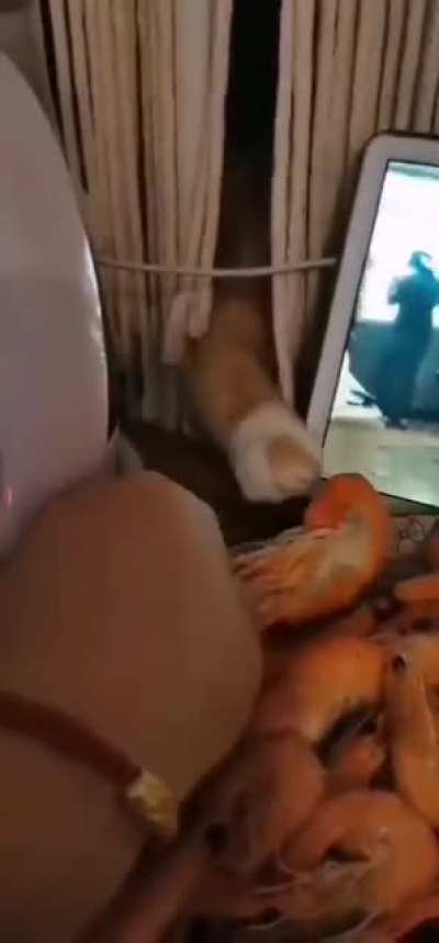 Intruder alert