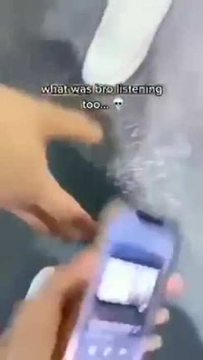 yo wtf
