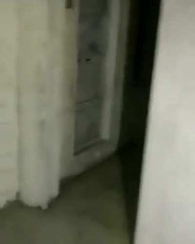 blursed_ghost