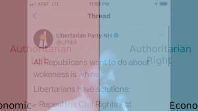 "Libertarians" these days