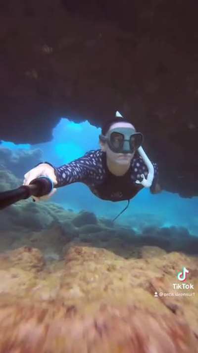 Woahh shark sneaks past unsuspecting freediver