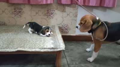 Deep conversation between father &amp;amp; daughter