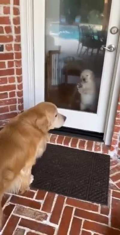 Hе впечатлен.