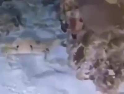 (≧&forall;≦)