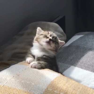 I am feeling sleepy