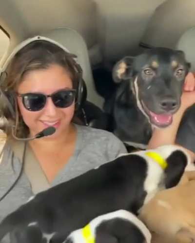 Rescuing these puppies to a new home