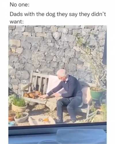 This is so WHOLESOME!!