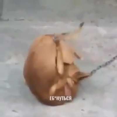 😏