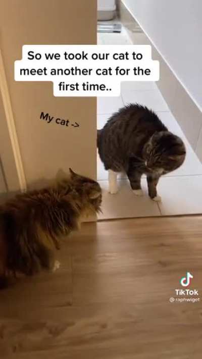 It happens😮&zwj;💨