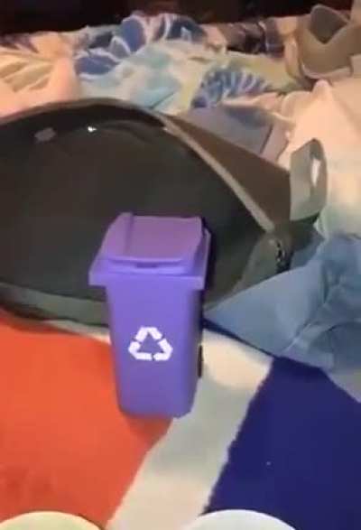 Not in my ketchup please