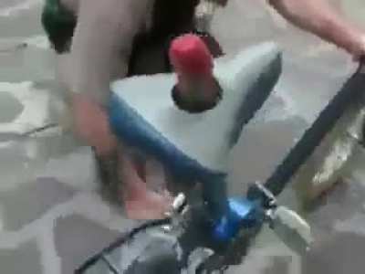 Gayreek bike