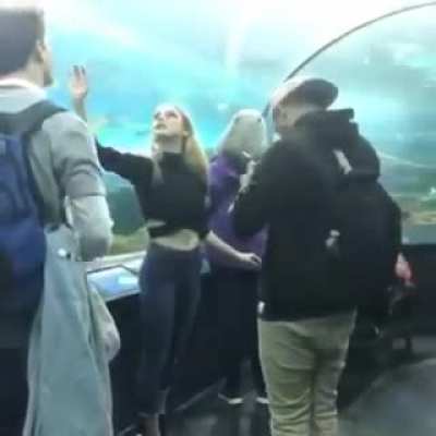 Instagram "model" visits aquarium