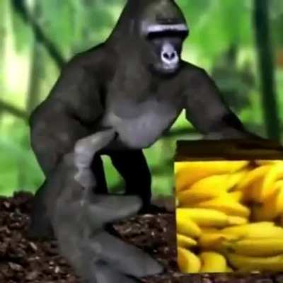Return to Monke