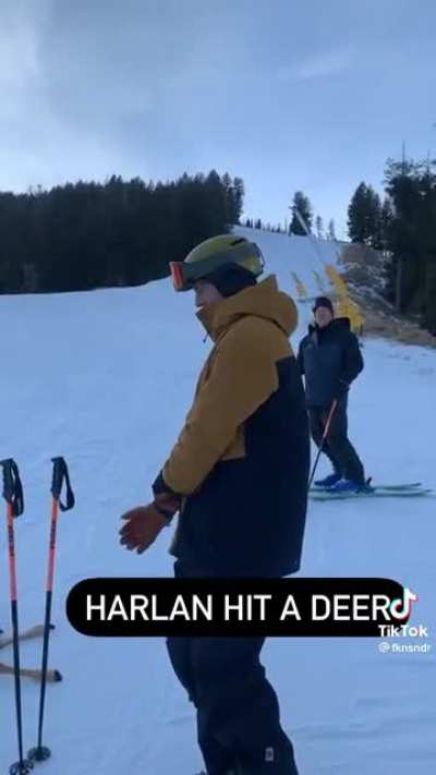 Hang on for deer life