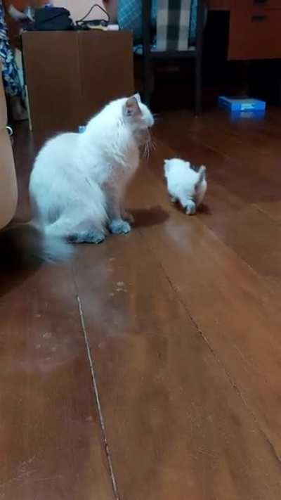 Passing by mommy