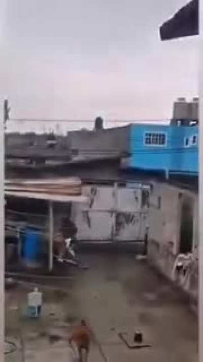 AAA-