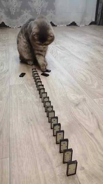 &ldquo;Did I do that?&rdquo;