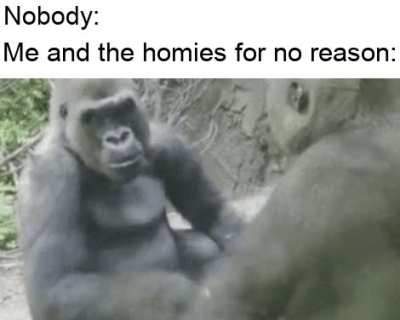 eu🦍👌nvr