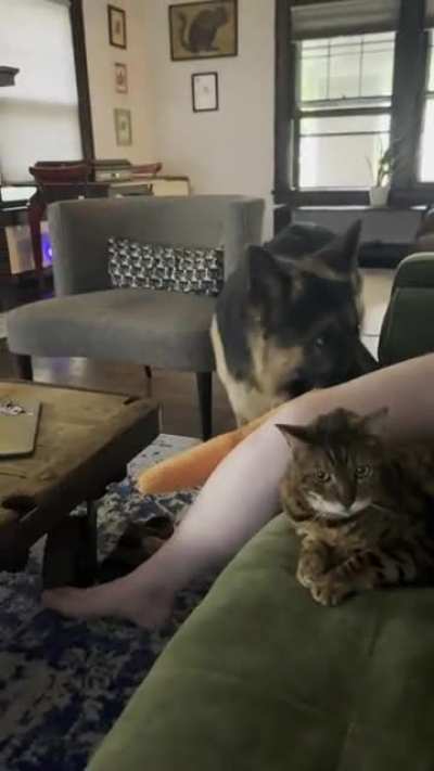 We are just trying to watch Stranger Things and can&rsquo;t.