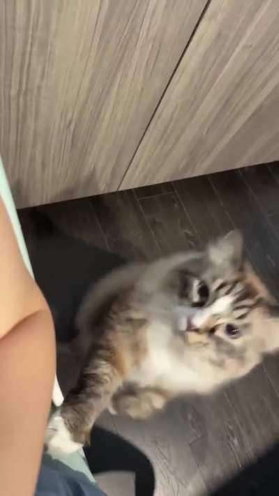 It&rsquo;s a hug!
