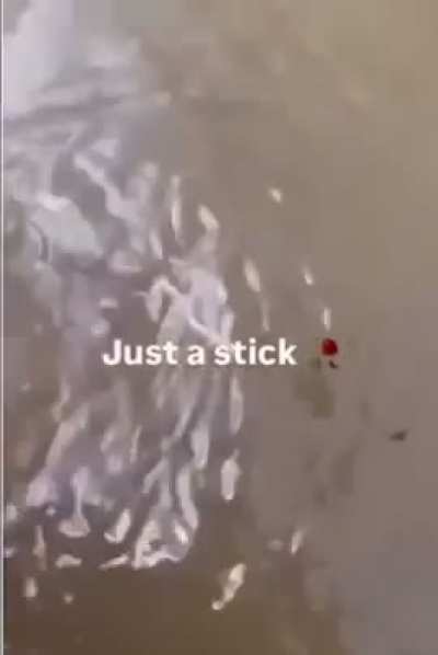 repost