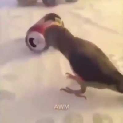Blursed_birdo