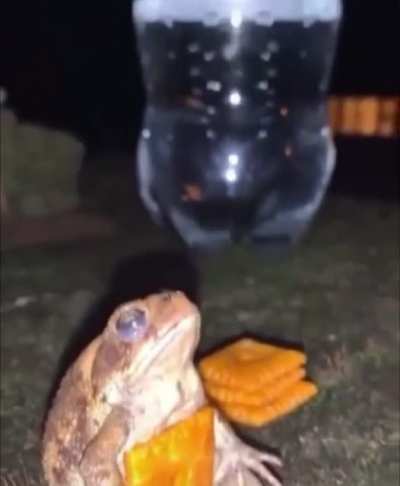 Sometimes it just be like this