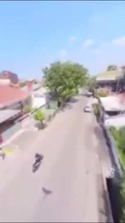 Dron latino