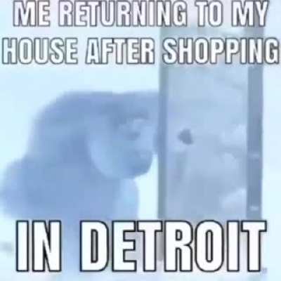 Can't have shit in Detroit