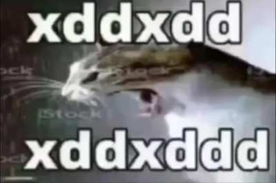 Funny wunkus