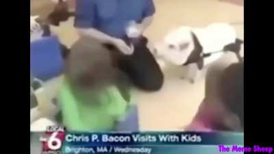 Chris p. Bacon