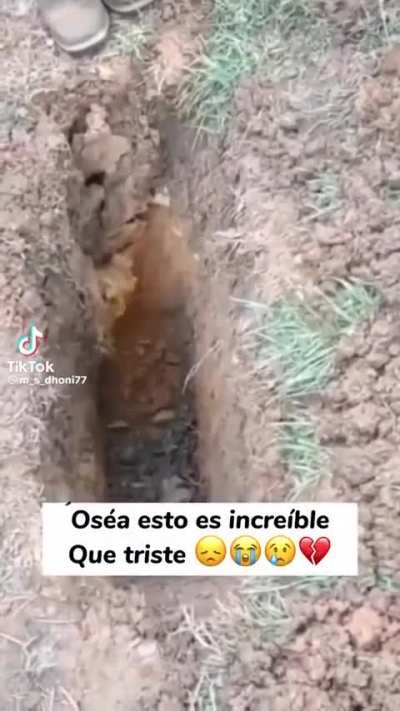 Que triste 😞