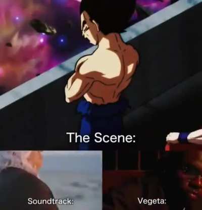 Vegeta: "I won't tolerate failure" 